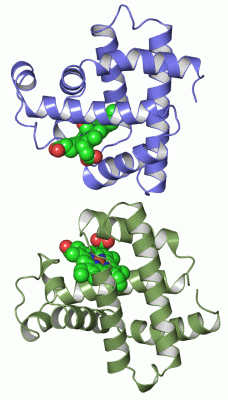 Image Asym.Unit - manually