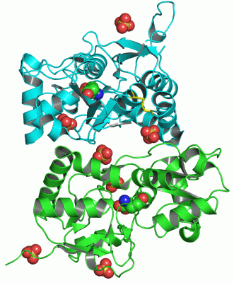 Image Asym./Biol. Unit - manually