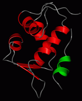 Image Asym./Biol. Unit - manually