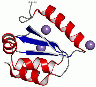 Image Asym./Biol. Unit - manually