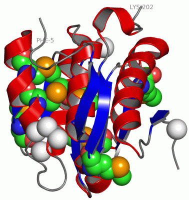 Image Asym./Biol. Unit - manually