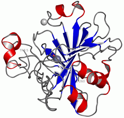 Image Asym./Biol. Unit - manually