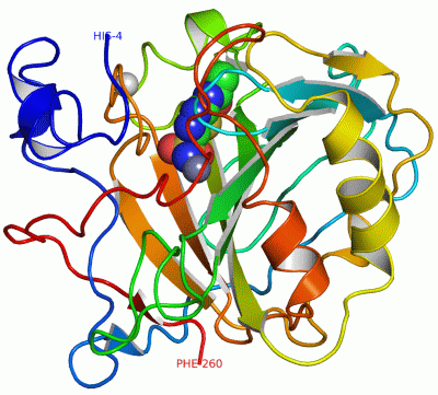 Image Asym./Biol. Unit - manually