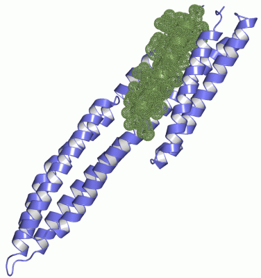 Image Asym./Biol. Unit - manually