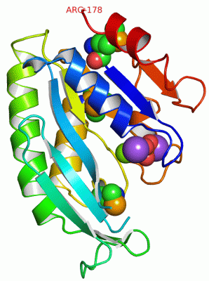 Image Asym./Biol. Unit - manually