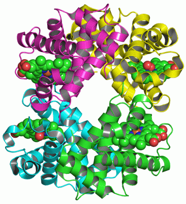 Image Asym./Biol. Unit - manually