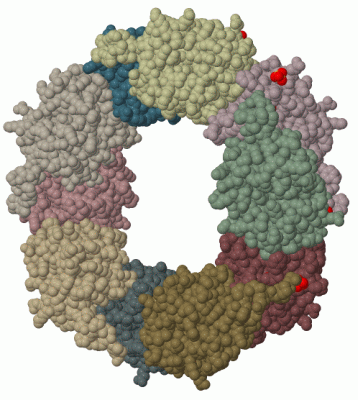 Image Biol.Unit 1 - manually