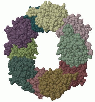 Image Biol.Unit 1 - manually