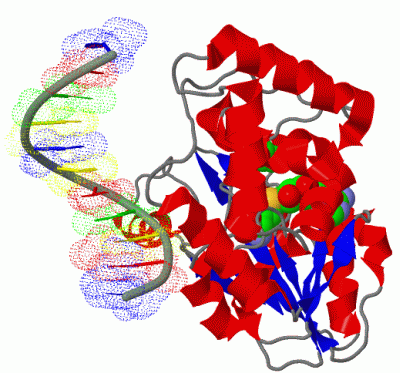 Image Asym./Biol. Unit - manually