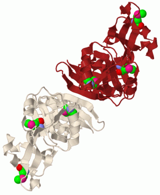 Image Biol.Unit 1 - manually