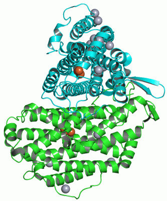 Image Asym./Biol. Unit - manually