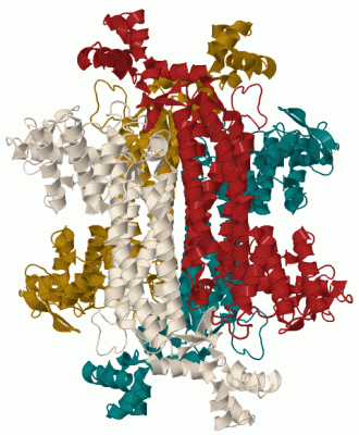 Image Biol.Unit 1 - manually