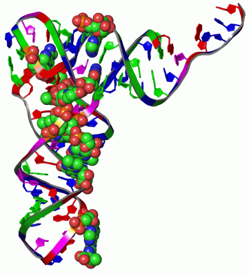 Image Asym./Biol. Unit - manually