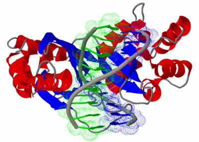 Image Biol.Unit 1 - manually