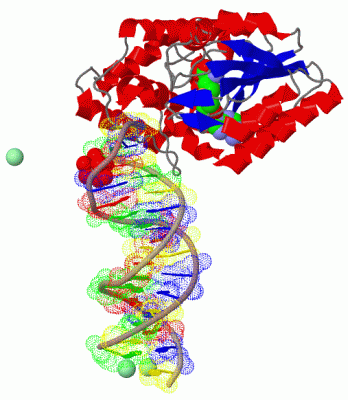 Image Biol.Unit 1 - manually