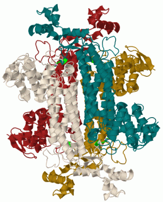 Image Biol.Unit 1 - manually