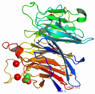 Image Asym./Biol. Unit - manually