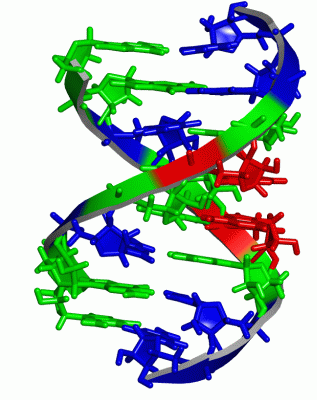 Image NMR Structure - manually