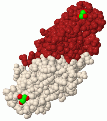 Image Biol.Unit 1 - manually