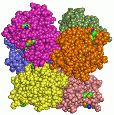 Image Biol.Unit 1 - manually
