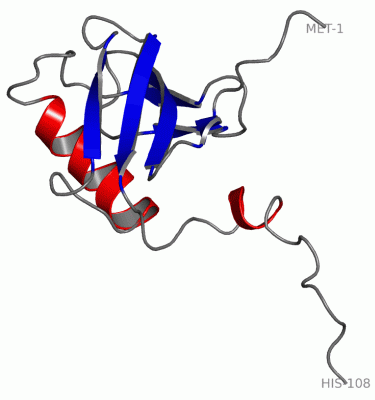 Image NMR Structure - manually