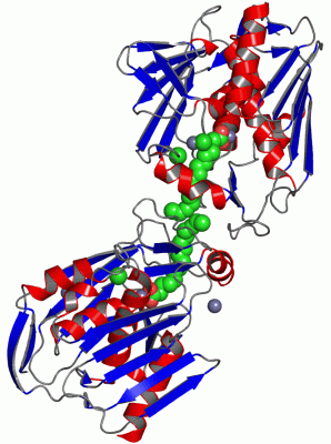 Image Asym./Biol. Unit - manually