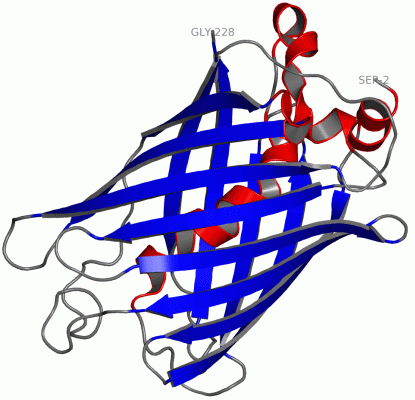 Image Asym./Biol. Unit - manually