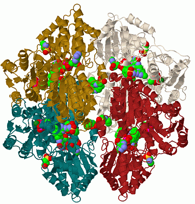 Image Biol.Unit 1 - manually