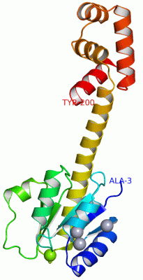 Image Asym./Biol. Unit - manually