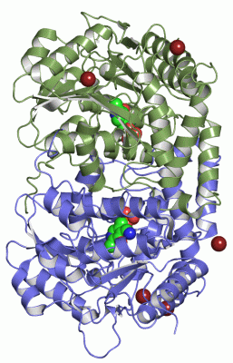 Image Asym./Biol. Unit - manually