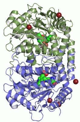 Image Asym./Biol. Unit - manually