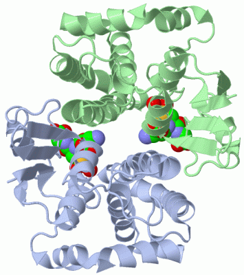 Image Biol.Unit 1 - manually