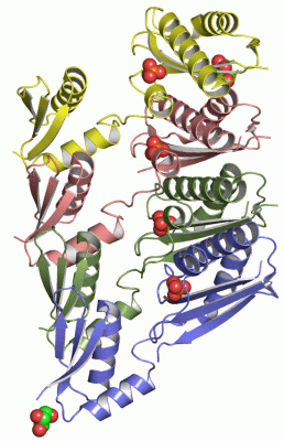 Image Asym./Biol. Unit - manually