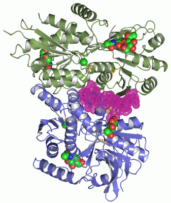 Image Asym./Biol. Unit - manually