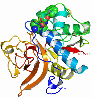 Image Asym./Biol. Unit - manually