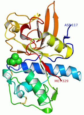 Image Asym./Biol. Unit - manually