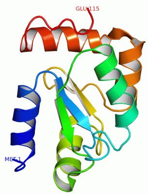 Image NMR Structure - manually