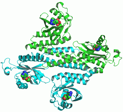 Image Asym./Biol. Unit - manually