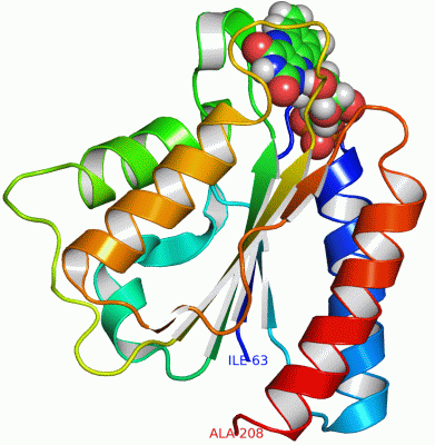 Image NMR Structure - manually