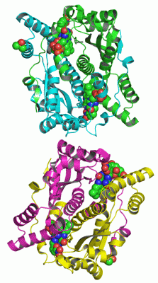 Image Asym.Unit - manually