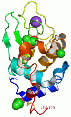 Image Asym./Biol. Unit - manually