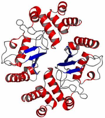 Image Asym./Biol. Unit - manually