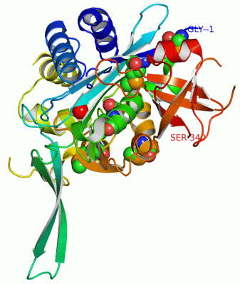 Image Asym./Biol. Unit - manually