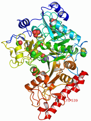 Image Asym./Biol. Unit - manually