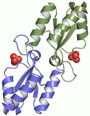Image Asym./Biol. Unit - manually