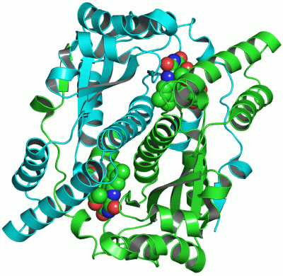 Image Asym./Biol. Unit - manually