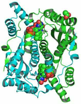 Image Asym./Biol. Unit - manually