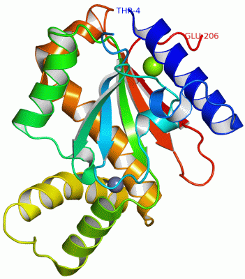 Image Asym.Unit - manually
