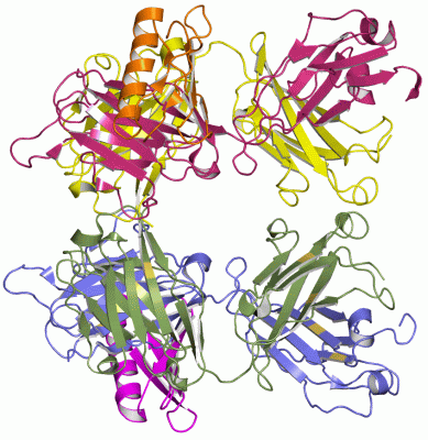 Image Asym.Unit - manually