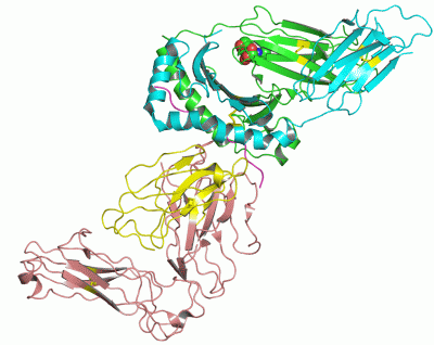 Image Asym./Biol. Unit - manually